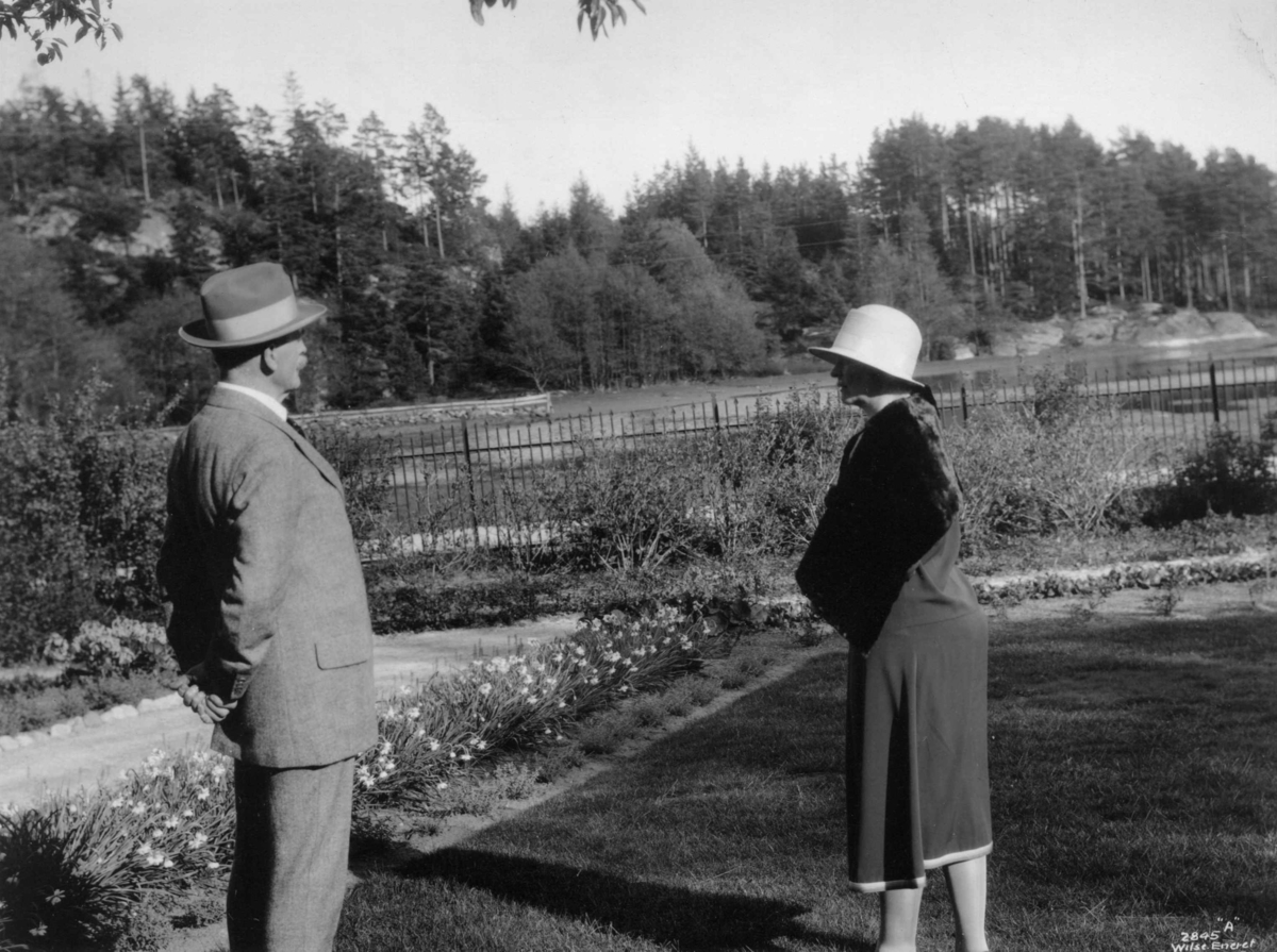 Anders Beer Wilse, Hamsun