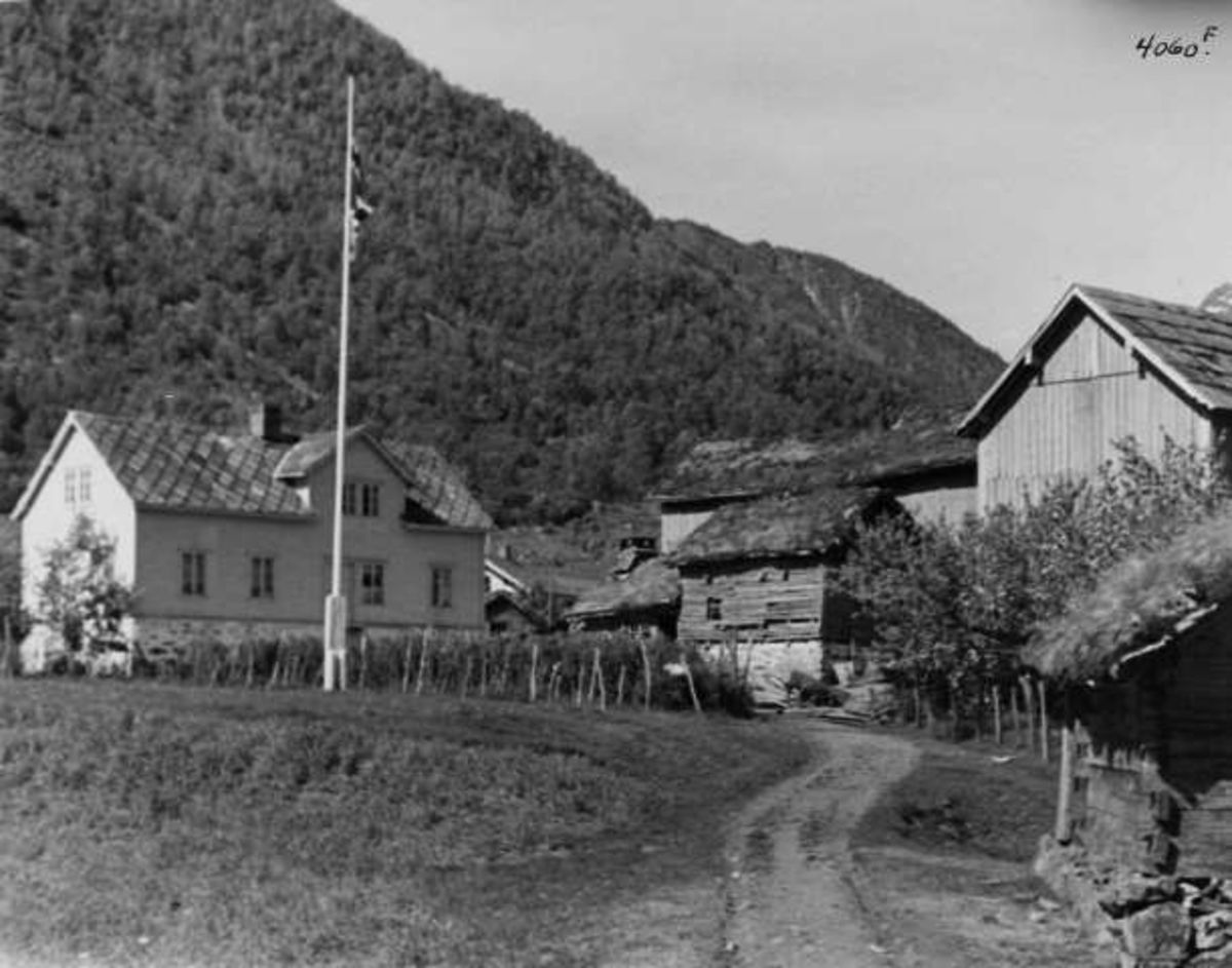 Anders Beer Wilse, -6534