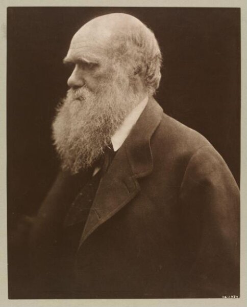 Cameron, Julia Margaret, Charles Darwin