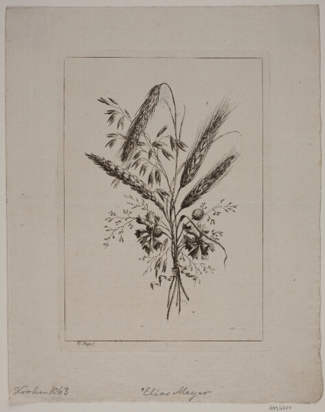 Elias Meyer, Buket af Aks og Kornblomster