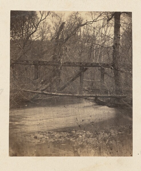 A. J. Russell, [Bridge in forest]