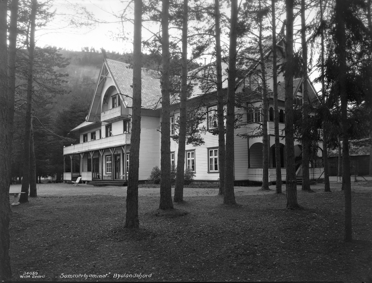Anders Beer Wilse, Prot: Sørlandet - Sætesdal, Sommerhjemmet turisthotel