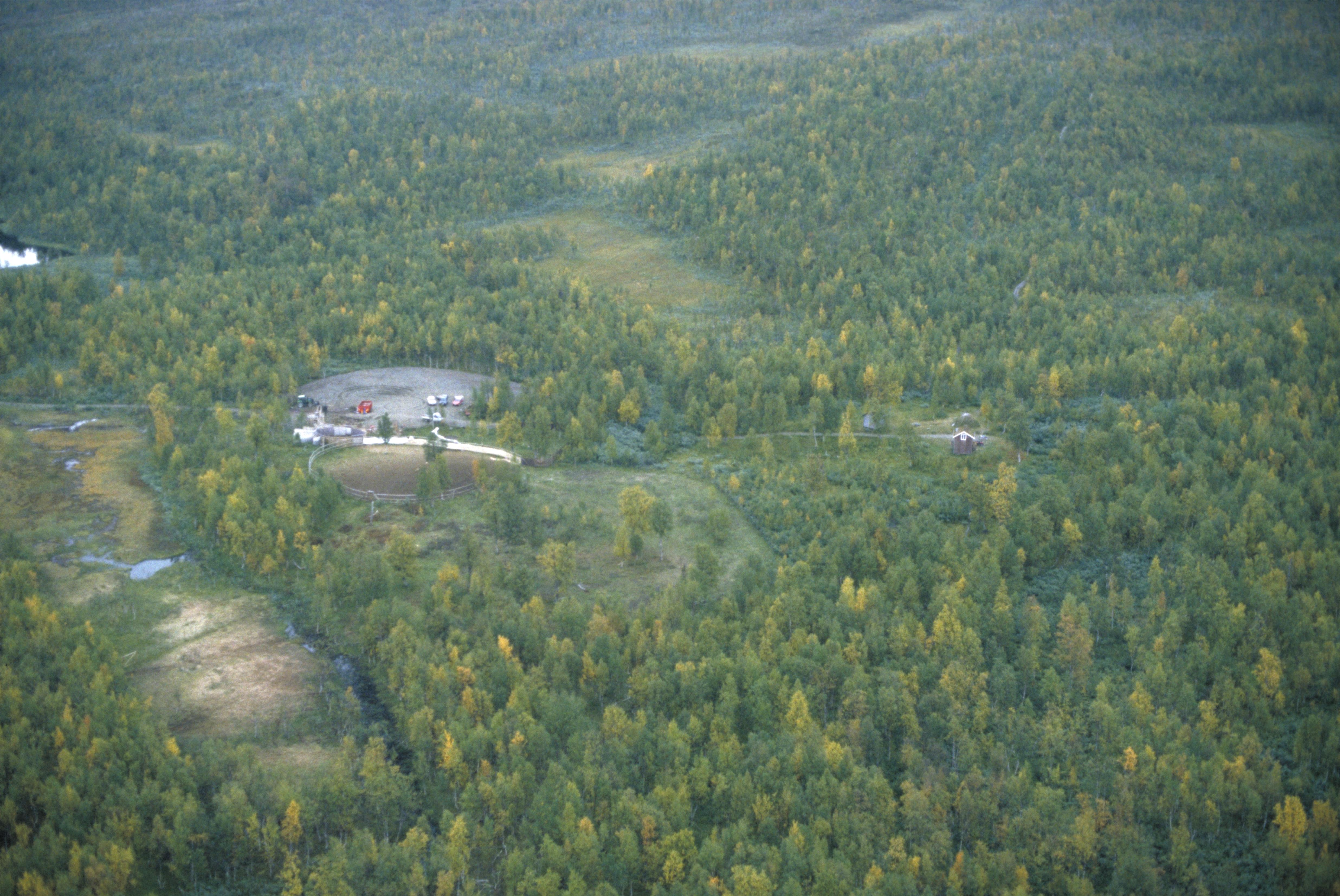Jan Norrman, Tärna 665:1