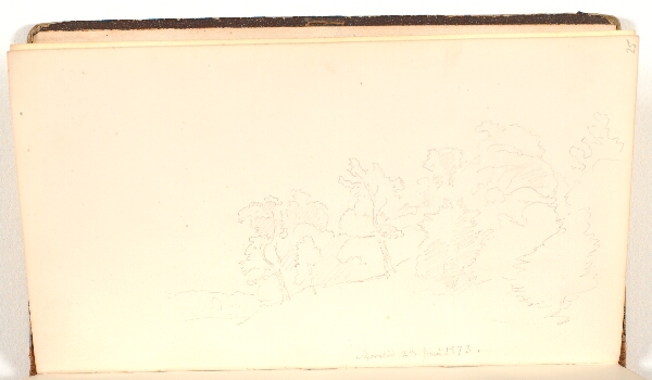 P.C. Skovgaard, Buskads og træer