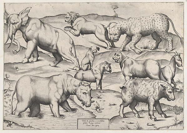 Anonymous, Wild Animals, from antique wall paintings, plate 2, from "Speculum Romanae Magnificentiae"