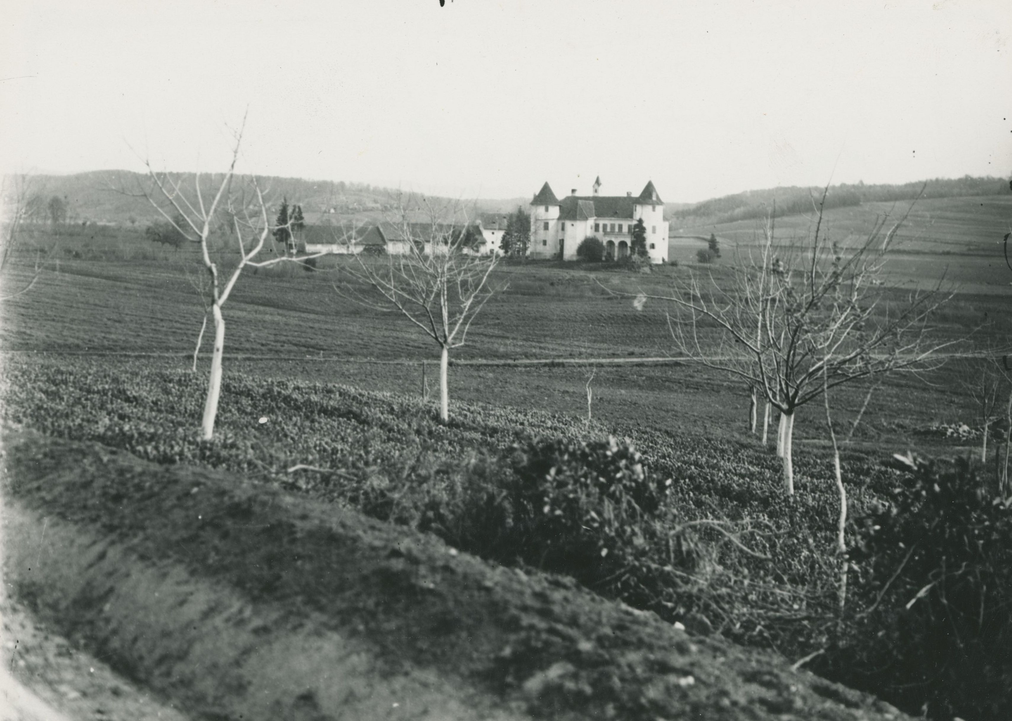 Gjuro Szabo, Bisag - dvor