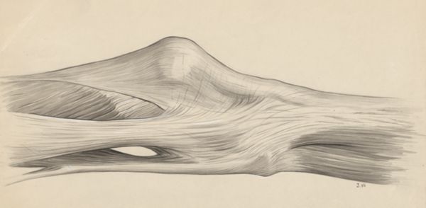 J Wetselaar-Whittaker, Knee joint