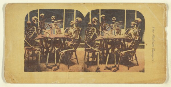London Stereoscopic and Photographic Company, The Skeleton Banquet.