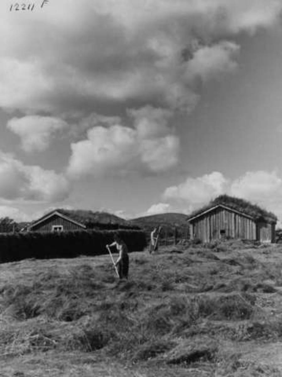 Anders Beer Wilse, -7995