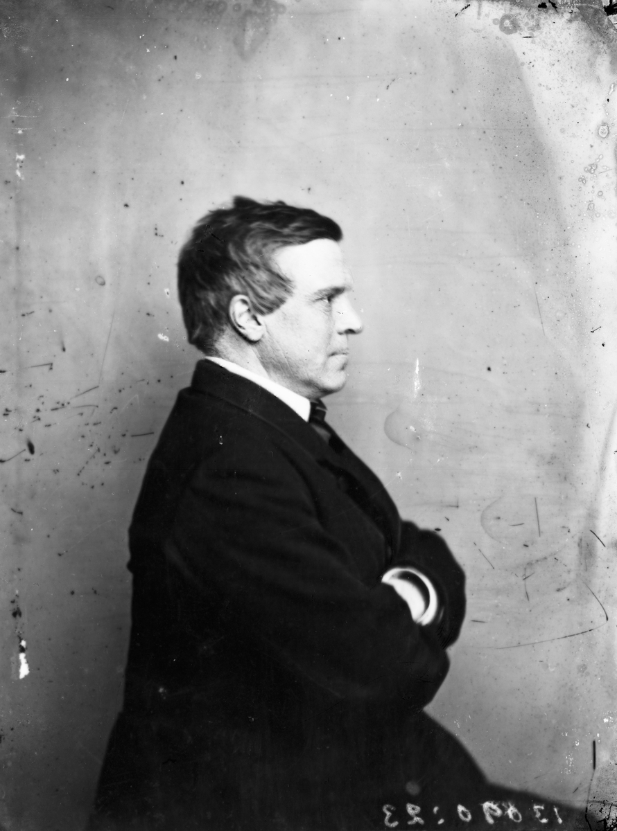 Carl Curman, Mansporträtt