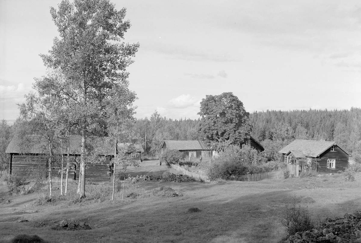 Anno Domkirkeodden, EKSTR: GARDSTUN, SOLBERGLØKKEN (MED BADSTULØKKEN), LØTENLØKKEN M/BADSTULØKKEN. Se Løtenbok nr. 3 fra 1955 side 792