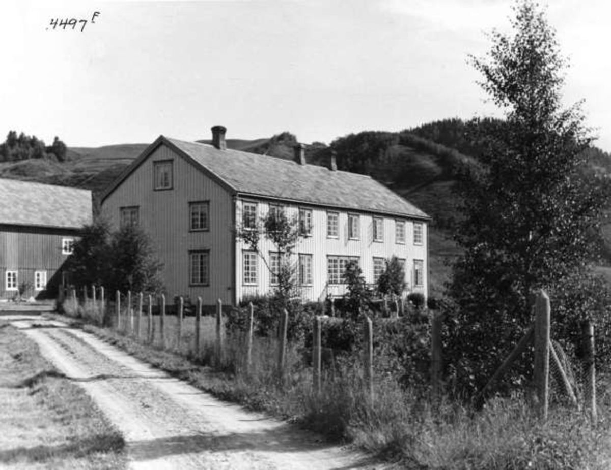 Anders Beer Wilse, -5757