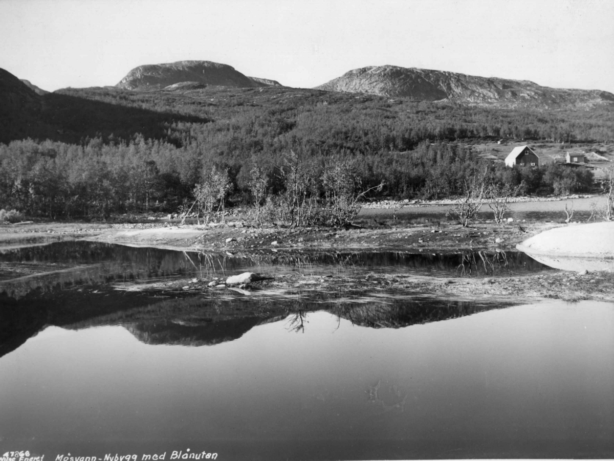 Anders Beer Wilse, Hamaren, Mosvatnet, Bebyggelse