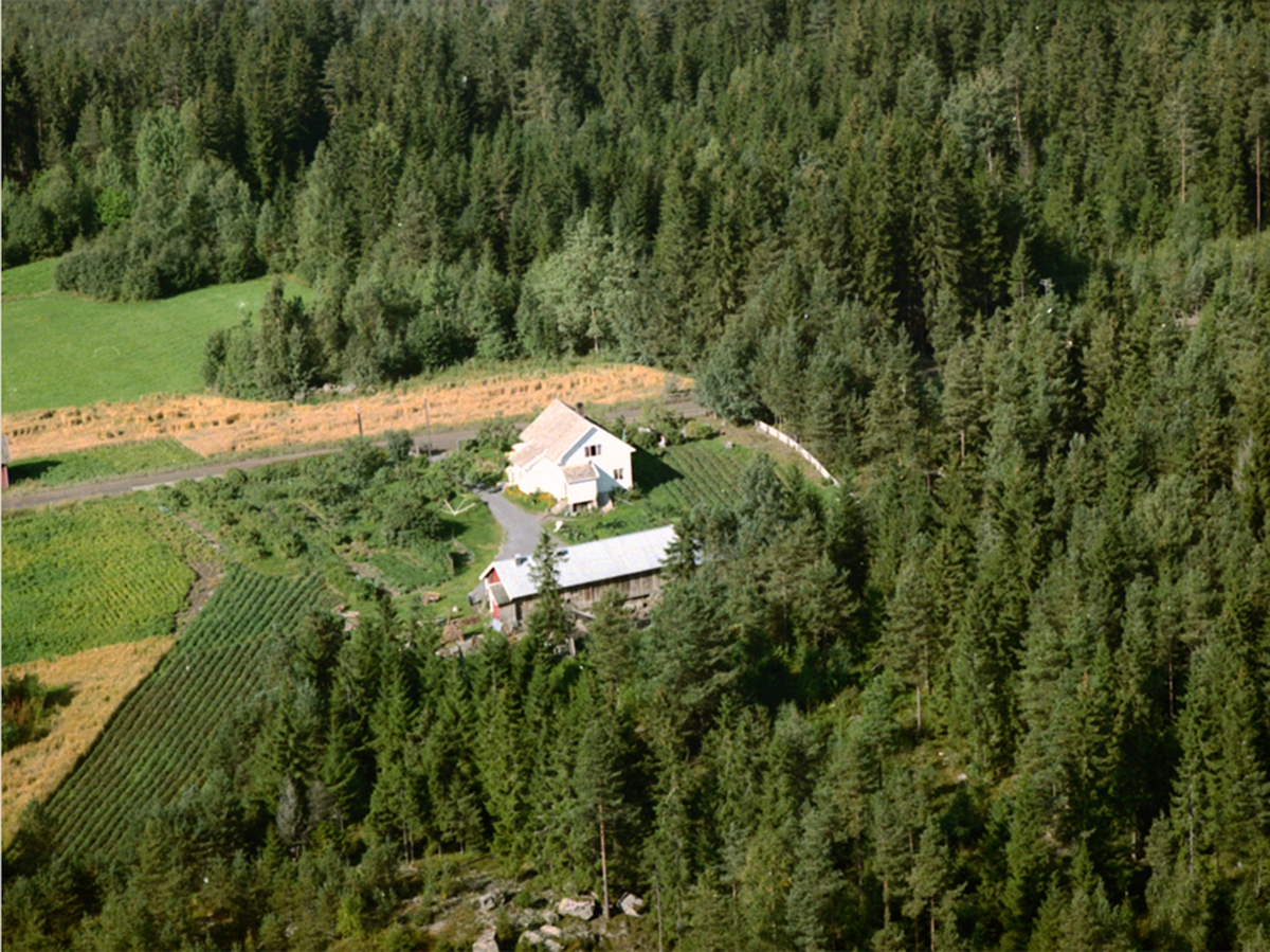Widerøes Flyveselskap A/S, FLYFOTO MOSTUA ØSTRE 316-5, VALLSET