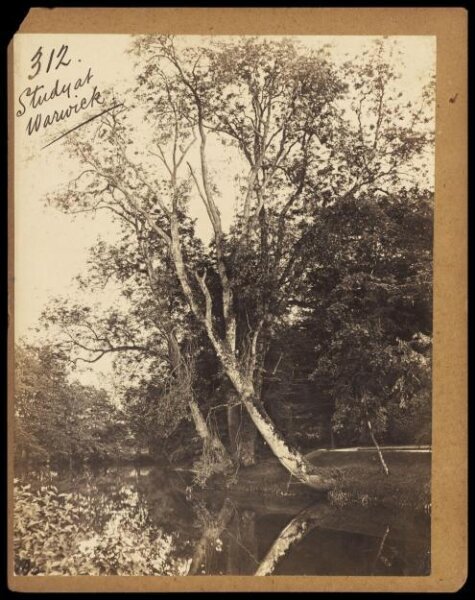 Francis Frith, Photograph