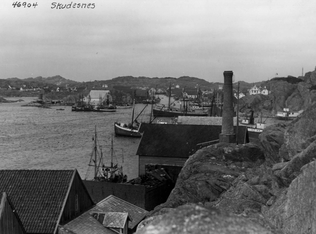 Anders Beer Wilse, Wilse original, Fiske