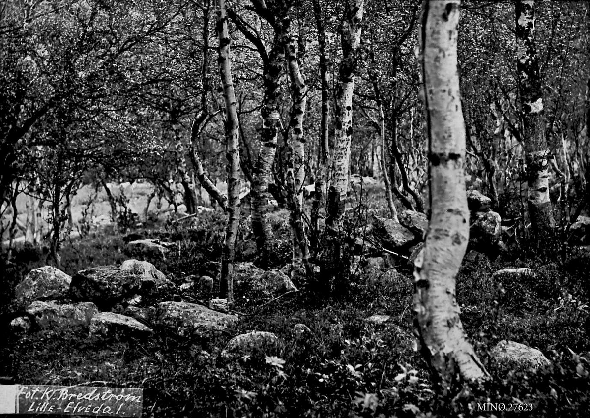 Alexander Bredstrøm Ansberg, Skog, steinsetting