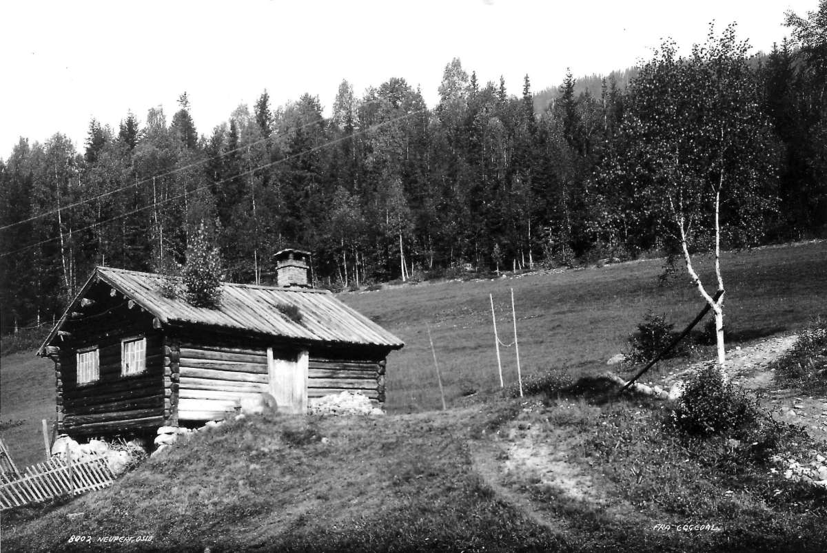 Hermann Christian Neupert, Bråtengårdene. Motiv fra Eggedal. Liten stue i kanten av et jorde. Skog i bakgrunnen.