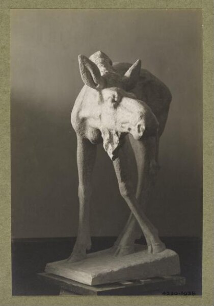 unknown, Photograph