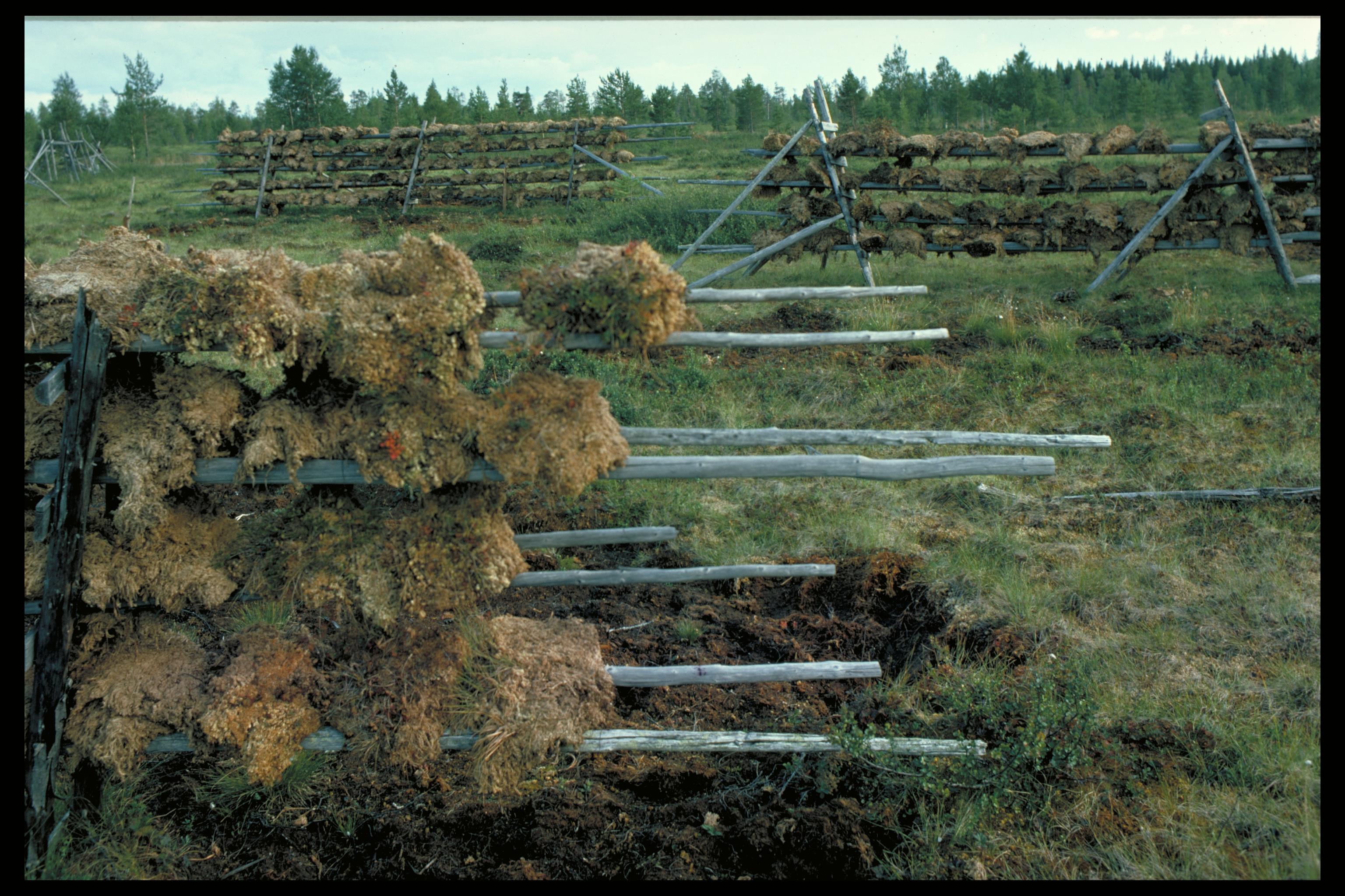 Pål-Nils Nilsson, Gåxsjö-Nyland