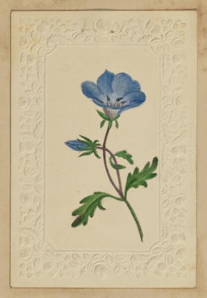 Unknown, [Blue flower note card]