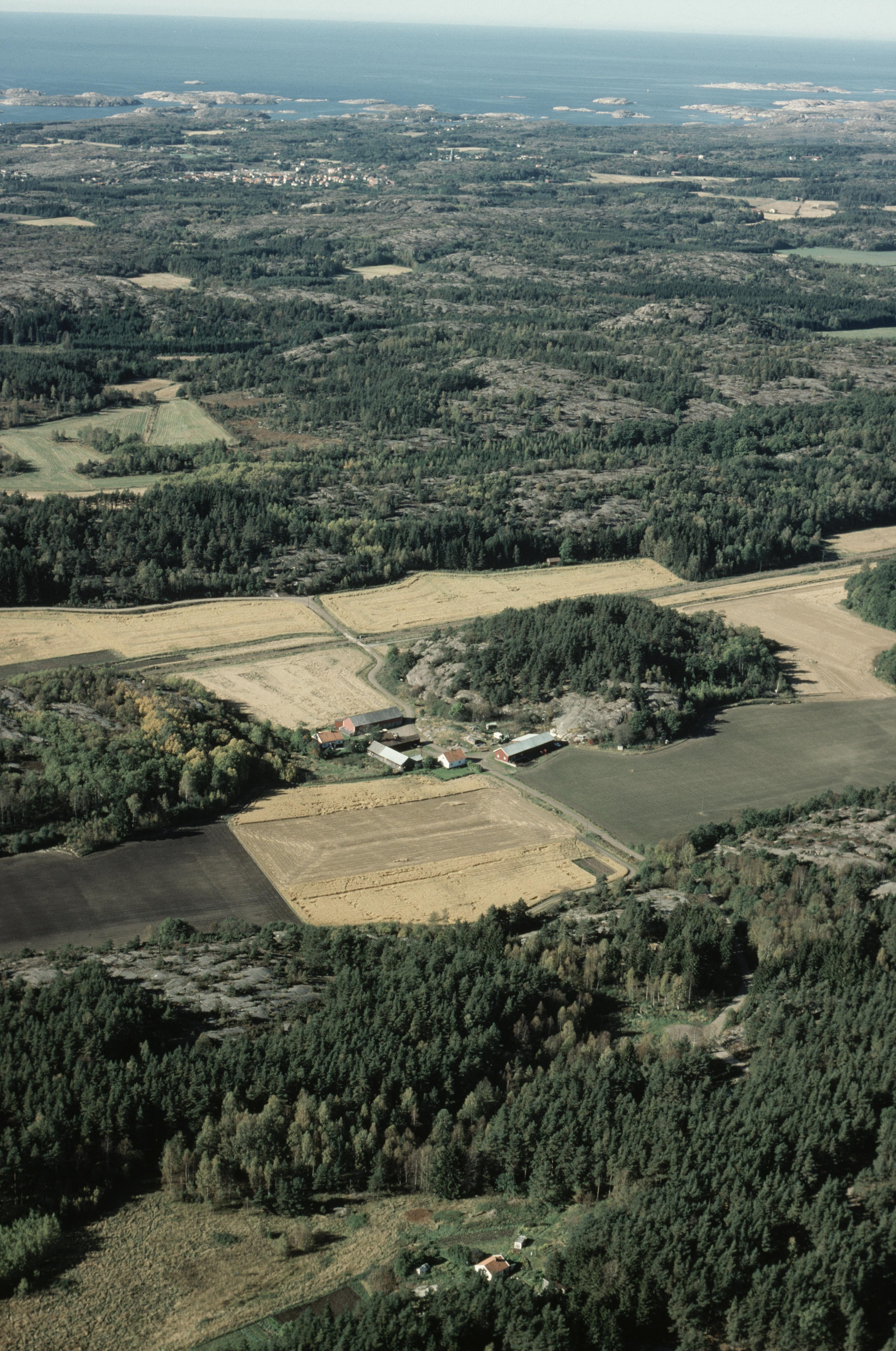Jan Norrman, Tanum 136:1
