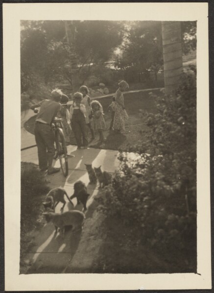 Louis Fleckenstein, [Children and Cats]