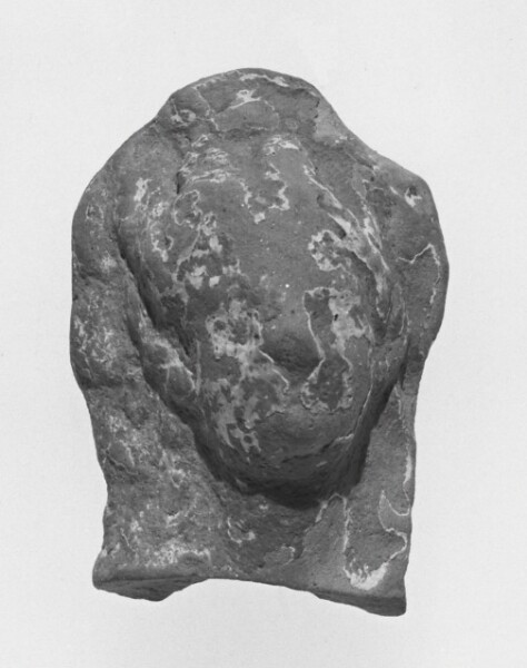 Unknown, Female Head
