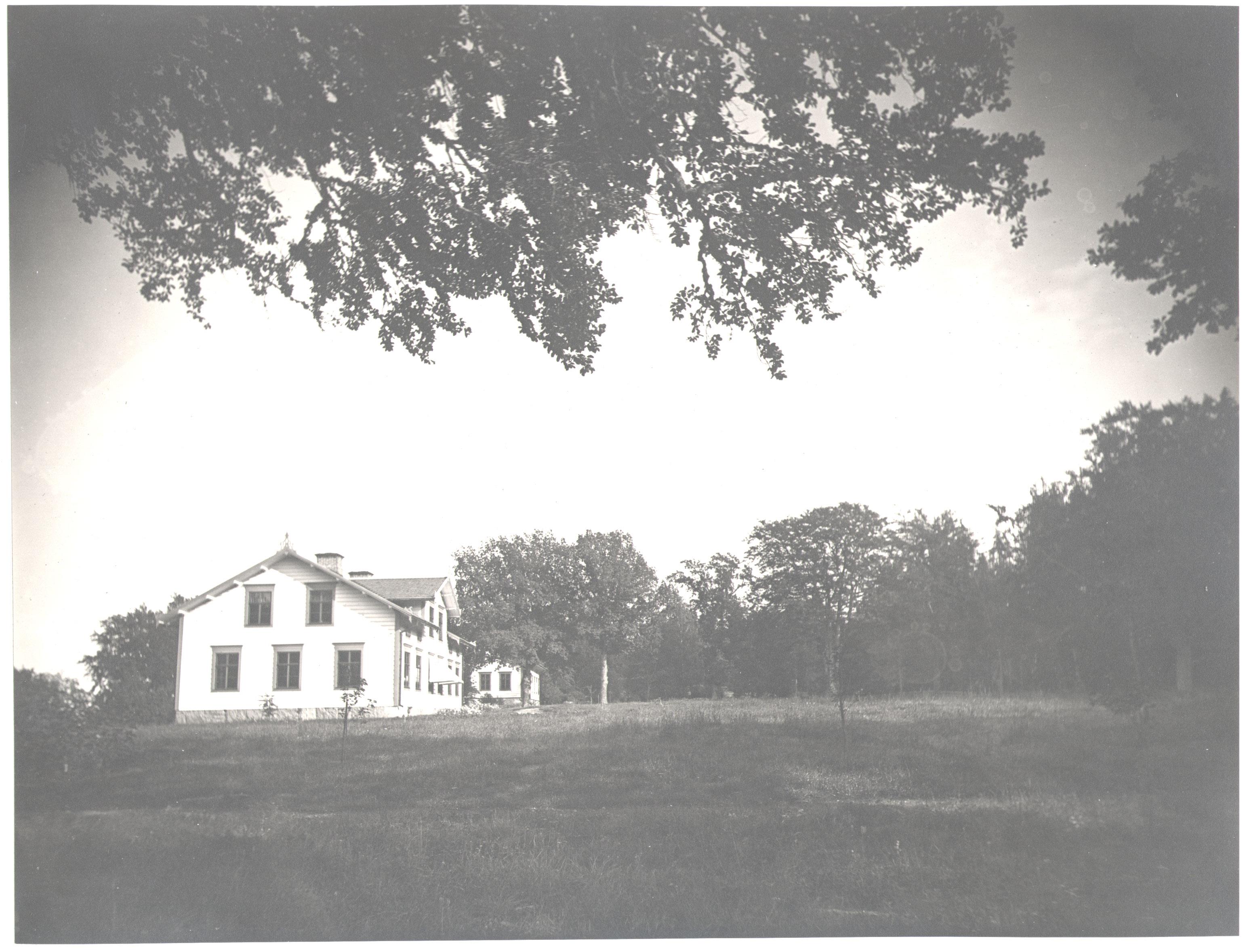 Carl Curman, Höje skogsskola