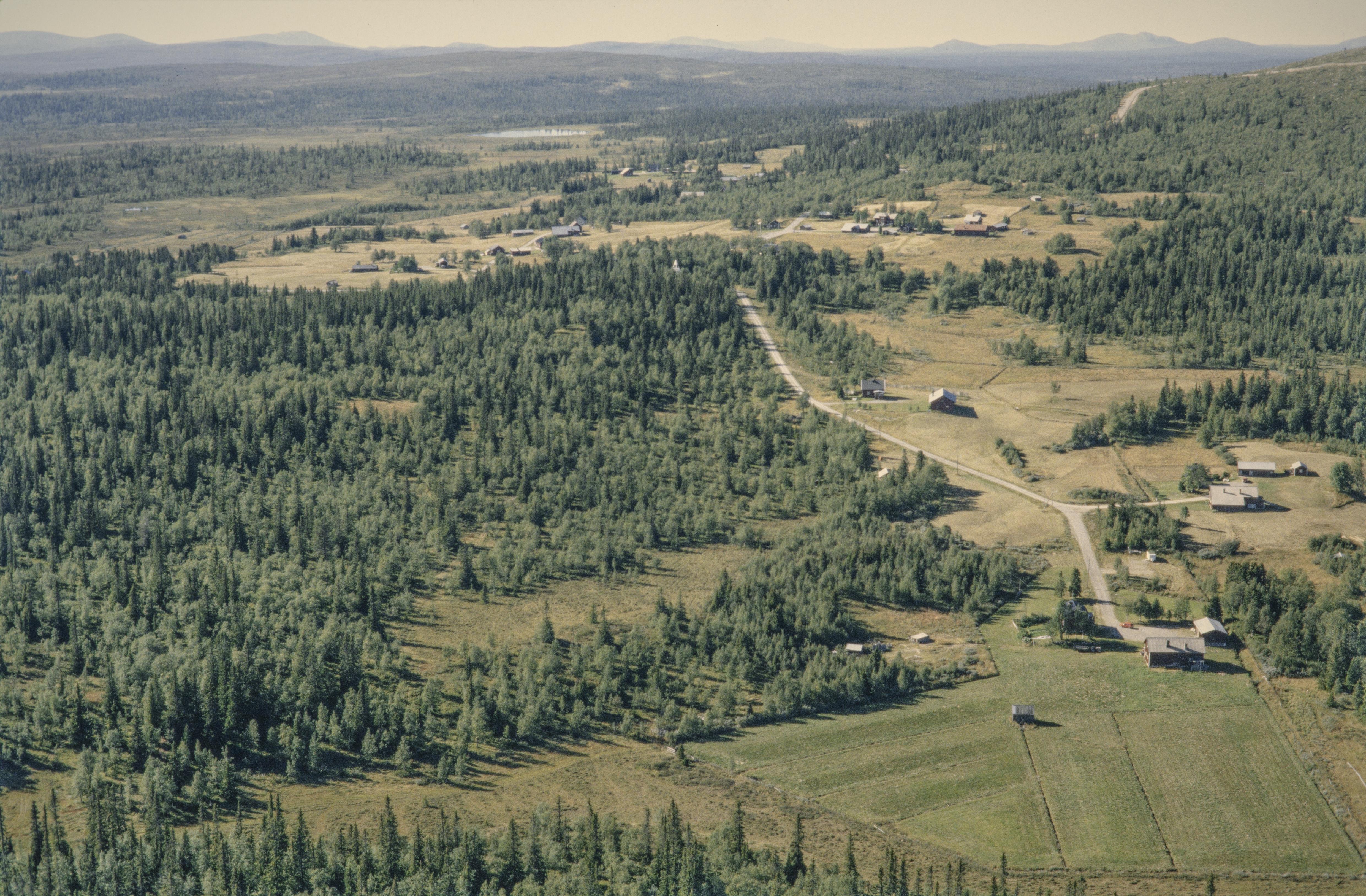 Jan Norrman, Tännäs 248:1