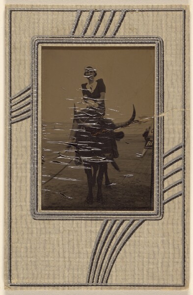 Unknown, [Unidentified woman seated on an ox]