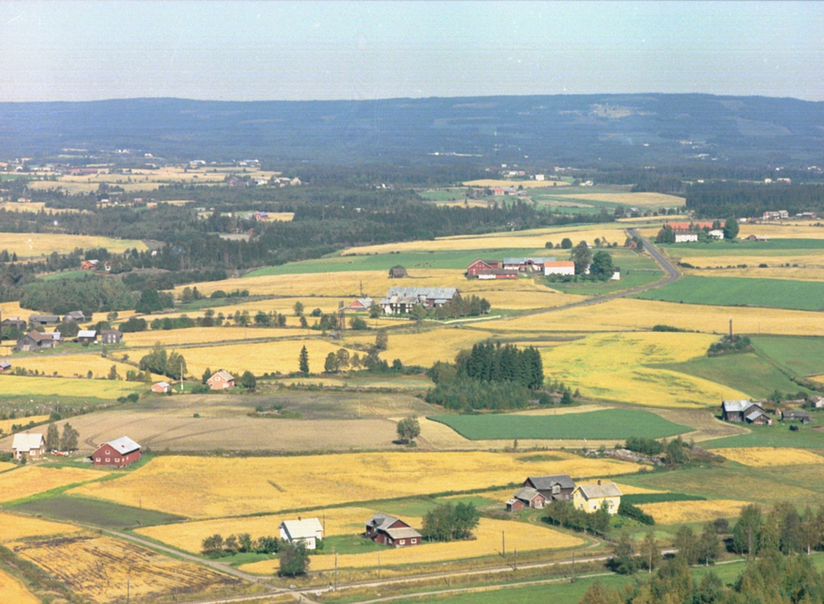 Widerøes Flyveselskap A/S, FLYFOTO NYBØ, STOR OVERSIKT, UKJENTE GARDER.