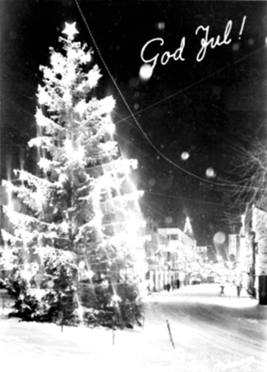 Anno Domkirkeodden, JULEKORT, JULEGRAN, JULETRE, JULEBELYSNING, TRIANGELEN, VINTER