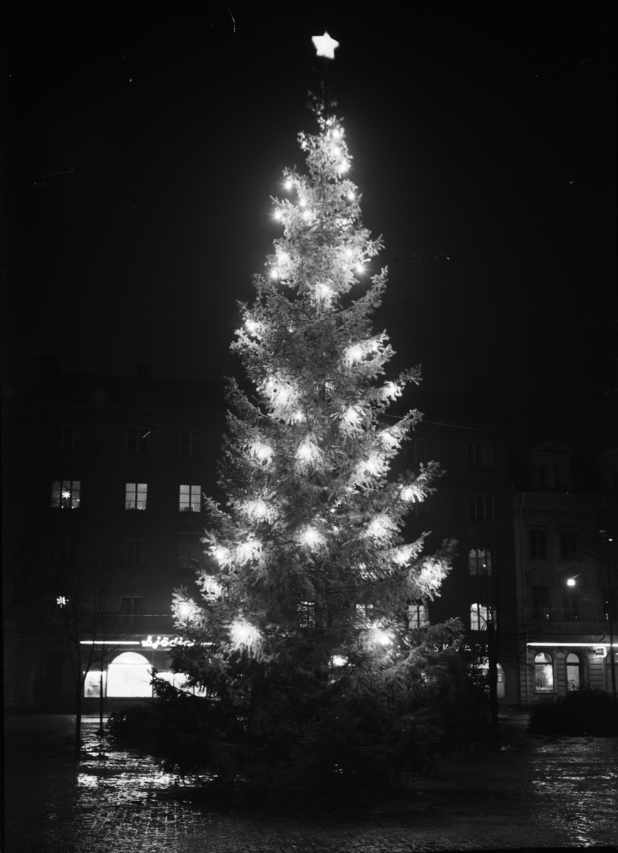 Paul Sandberg, Christmas tree at Vaksala Square, Uppsala December 1945