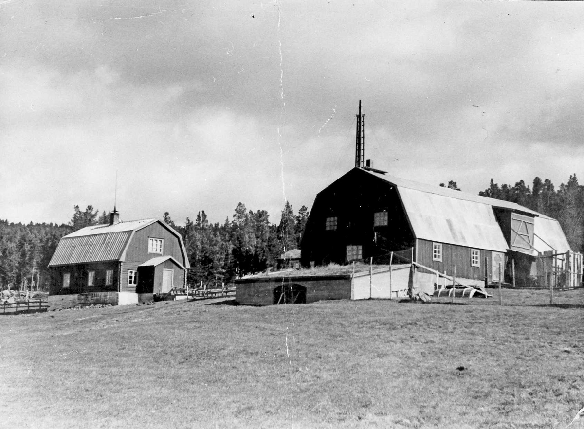 Rachel Haarseth, Gårdsbruk.