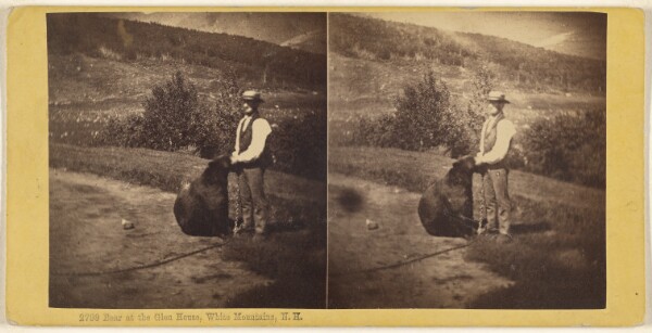 Edward Bierstadt, Bear at the Glen House, White Mountains, N.H.