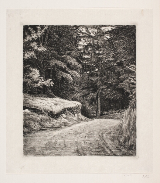 Carl Bloch, Vejen i Granskoven
