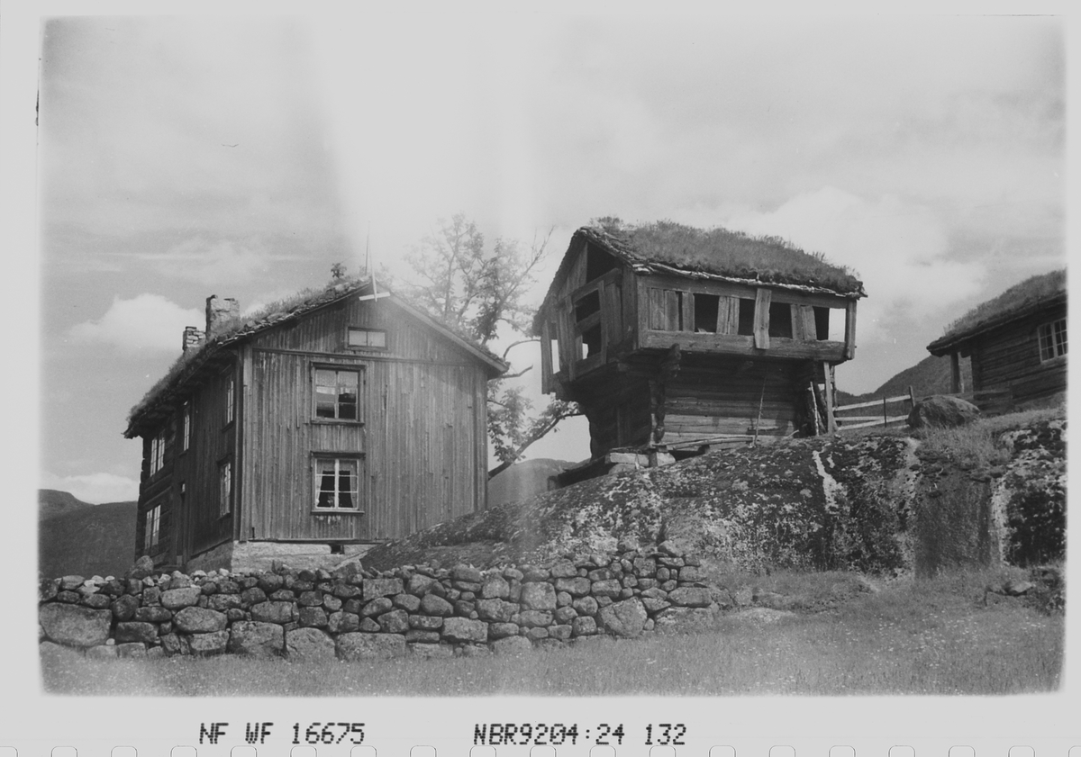Anders Beer Wilse, Prot: Setesdalsgård Stabur