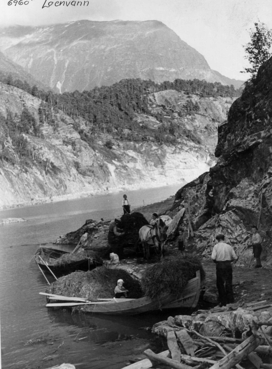 Anders Beer Wilse, Høytransport