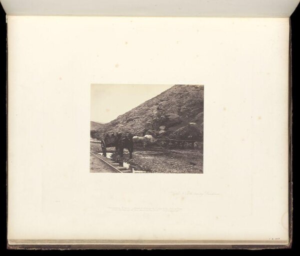 Fenton, Roger, Cattle & Carts, leaving Balaklava