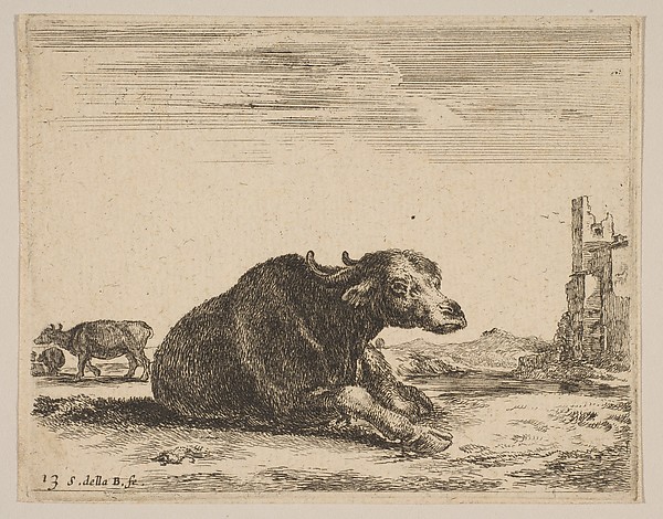 Stefano della Bella, Plate 13: Buffalo lying down, from "Various animals" (Diversi animali)