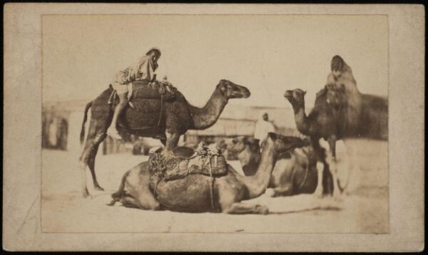 Unknown, Photograph
