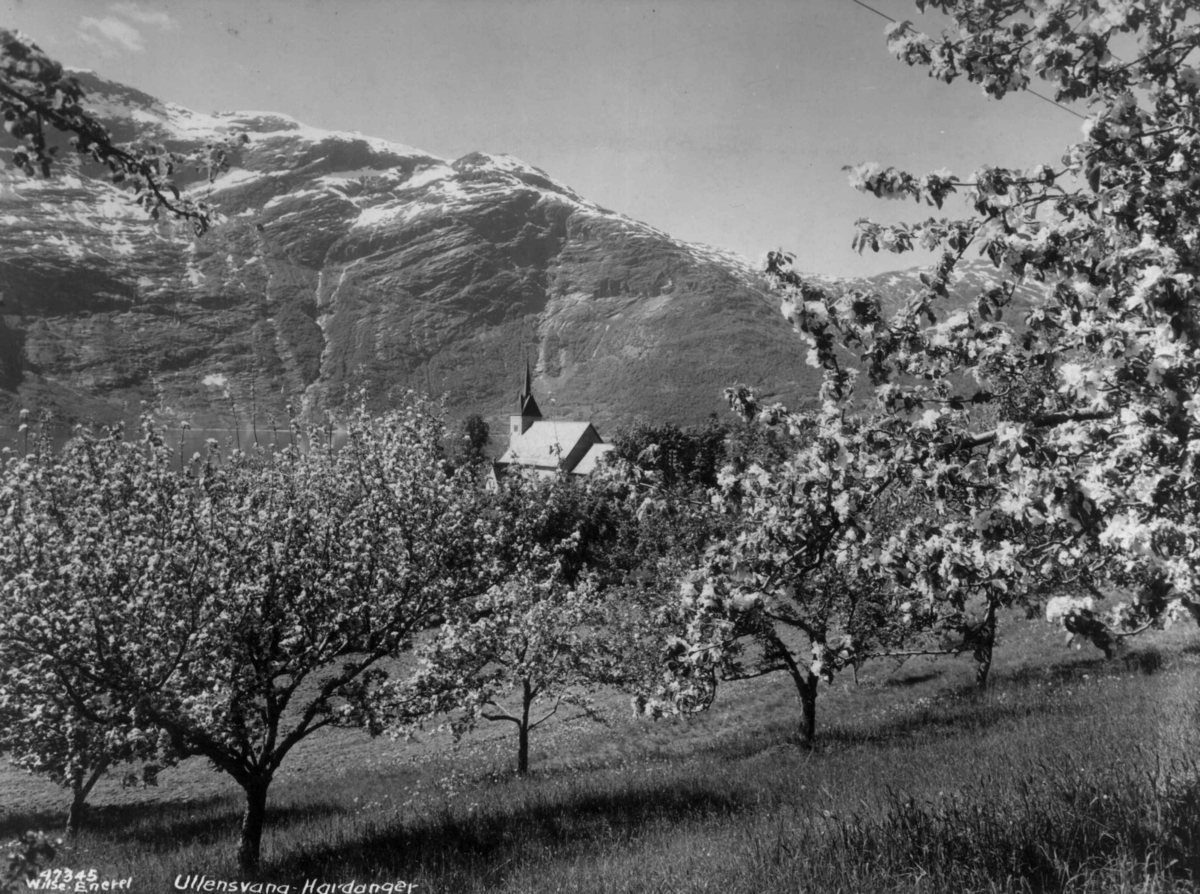 Anders Beer Wilse, Wilse original, Fruktblomstring, Lofthus