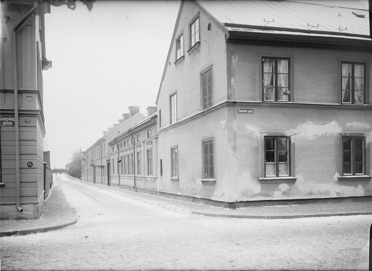 Alfred Dahlgren, Cabbage Bed - KungK, Kungbåden, Uppsala 1901 - 1902