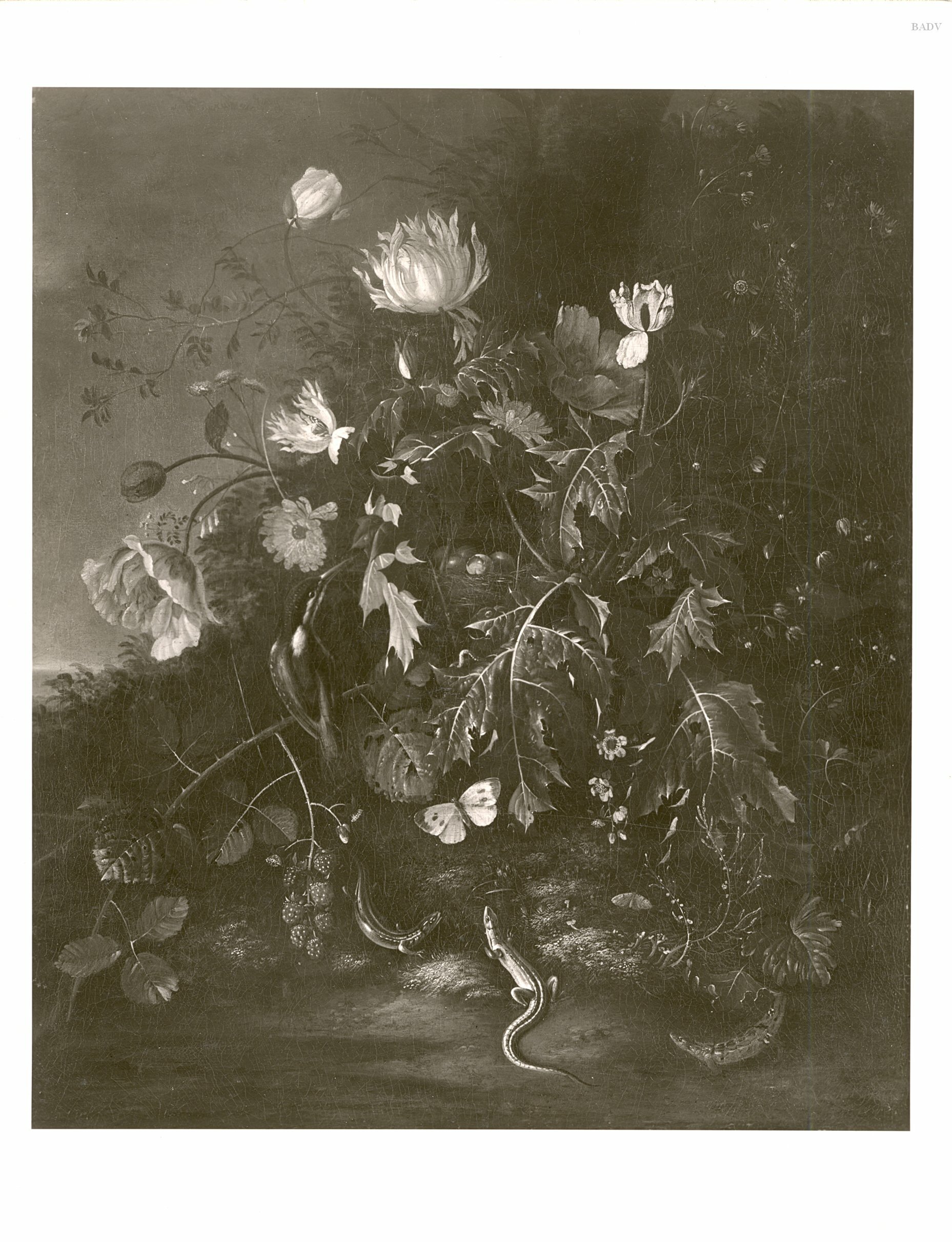 Alida Withoos, Flower still life with kingfisher and lizard in a landscape