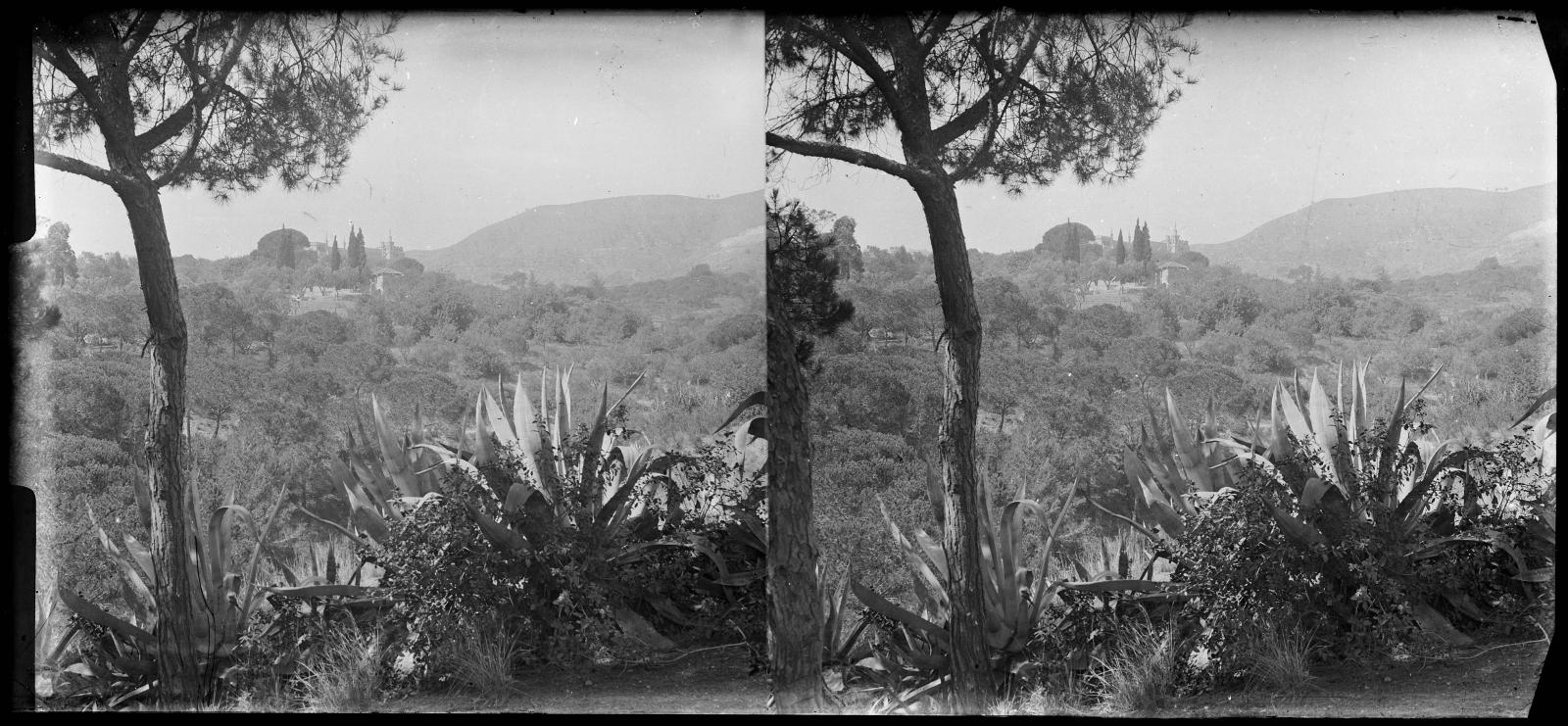 Desconegut, [Entorn natural del Castell de l'Oreneta]