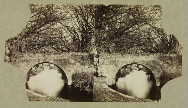 Clementina, Lady Hawarden, Photograph