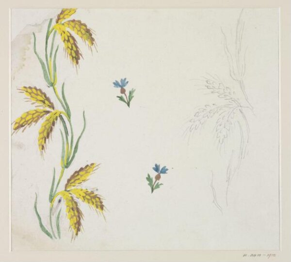 Unknown, Drawing
