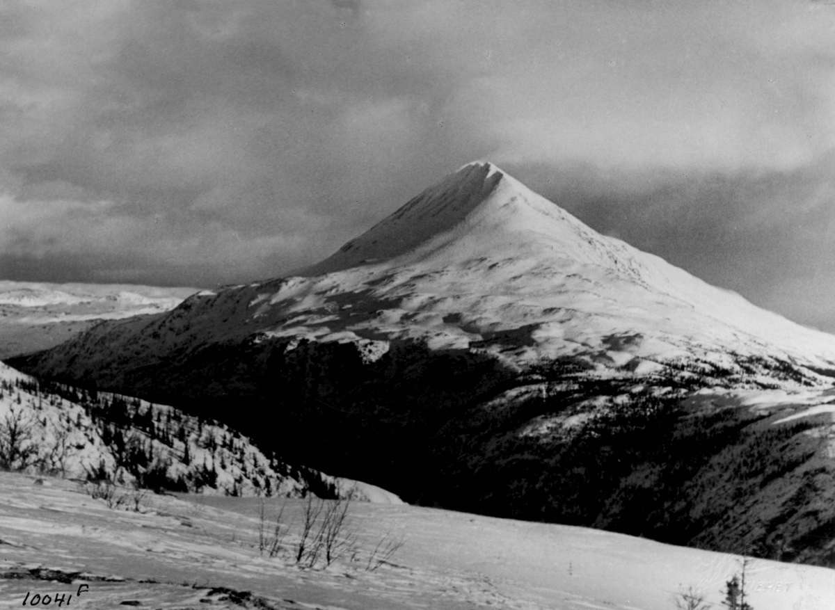 Anders Beer Wilse, Oversiktsbilde med Gaustatoppen.