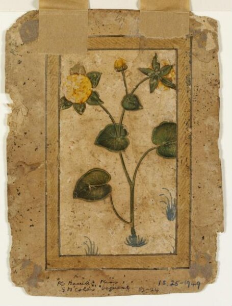 Unknown, Painting